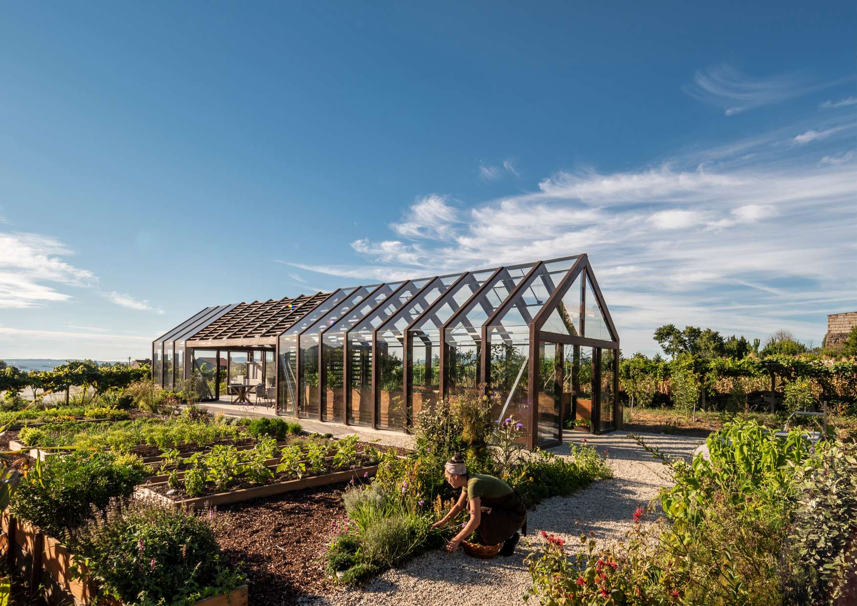 Imaxen principal candidatura