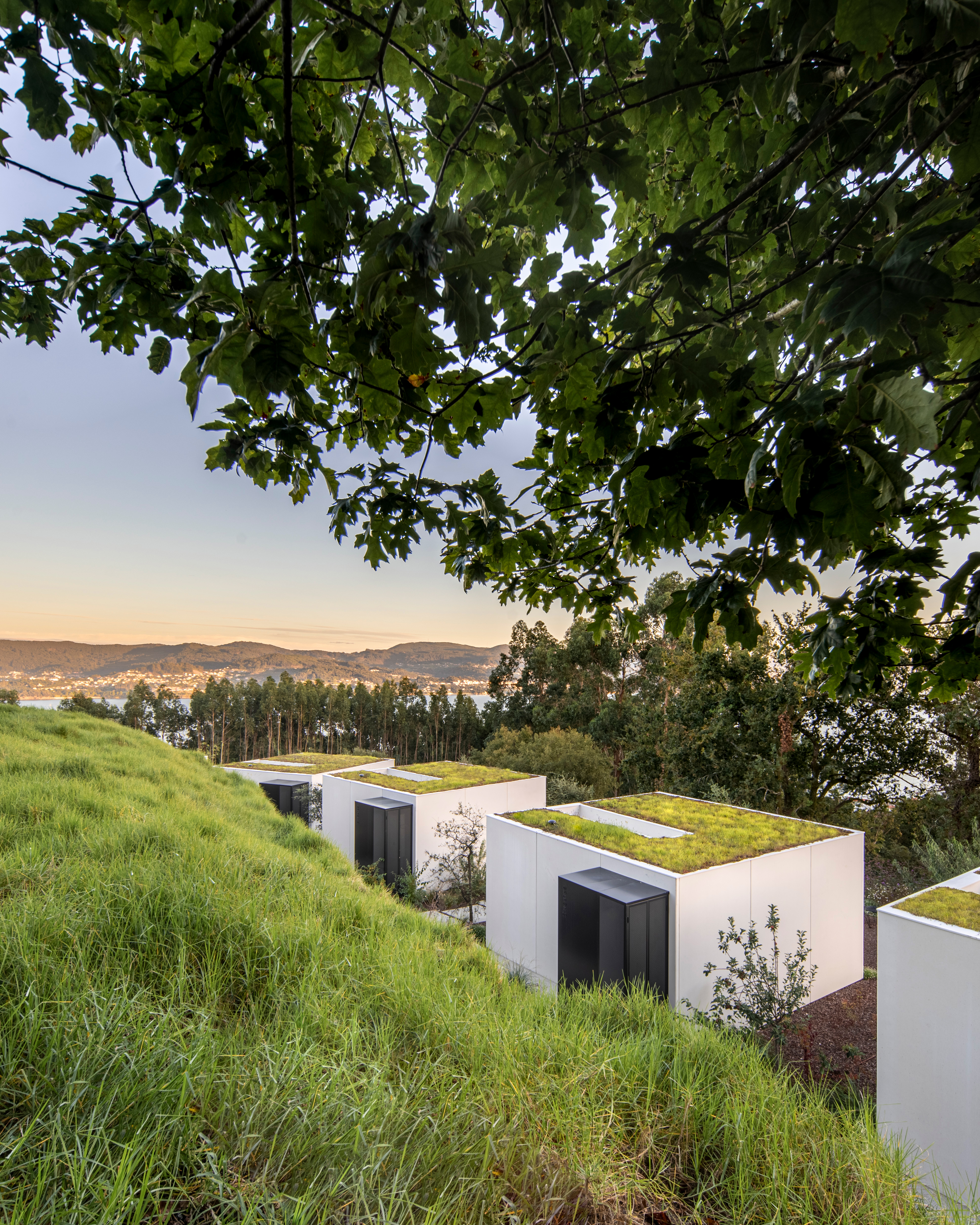 Imaxen principal candidatura