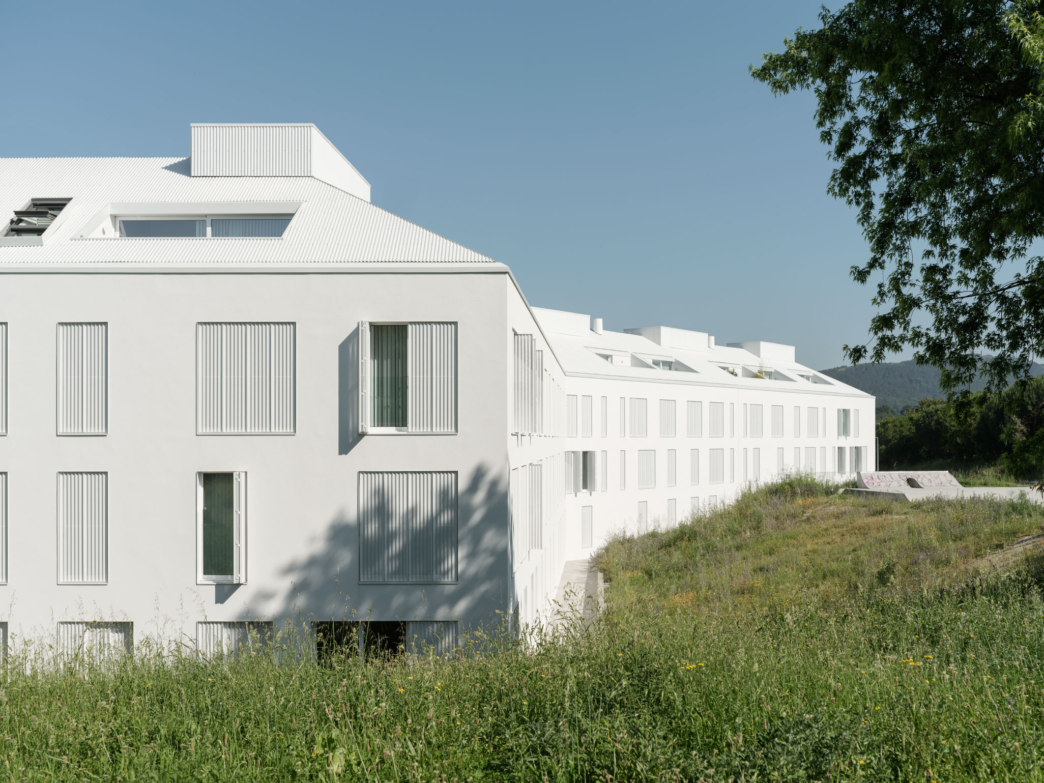 Imaxen principal candidatura